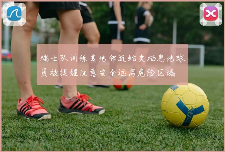 瑞士队训练基地邻近蛇类栖息地球员被提醒注意安全远离危险区域